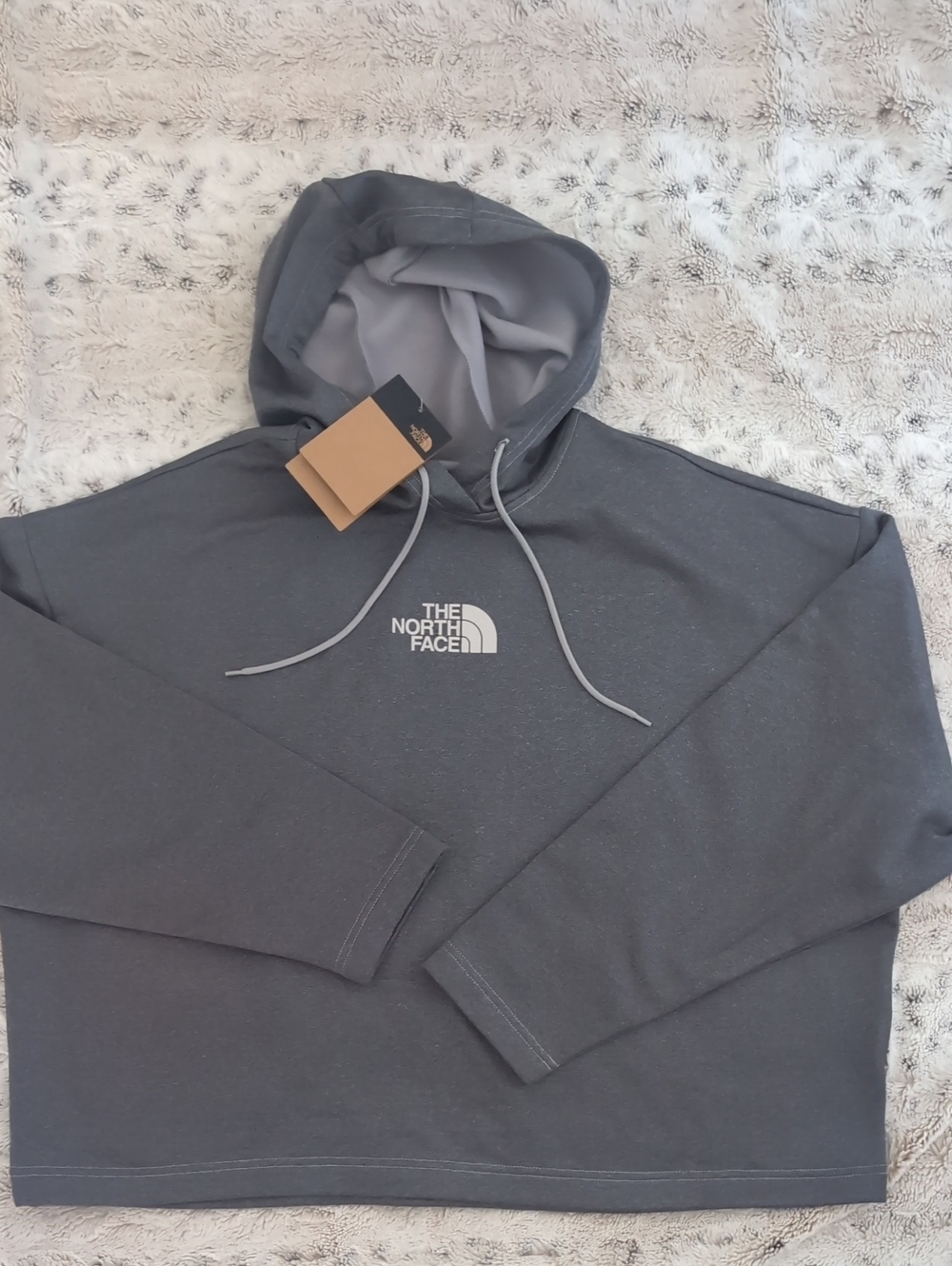 The North Face Horizon Performance Fleece Hoodie